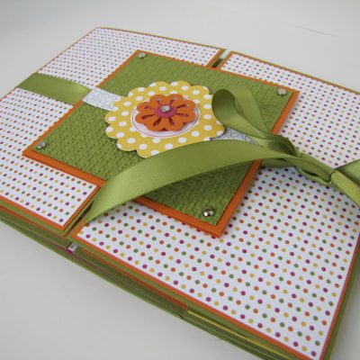 Playful Polka DotsTri Shutter Album Class