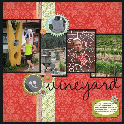 Dirty Laundry Vineyard MDS Layout