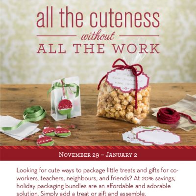 Cute Holiday Packaging