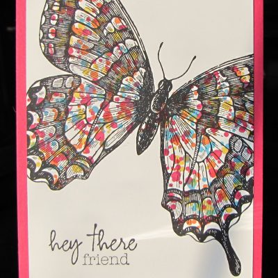 Hey There Swallowtail