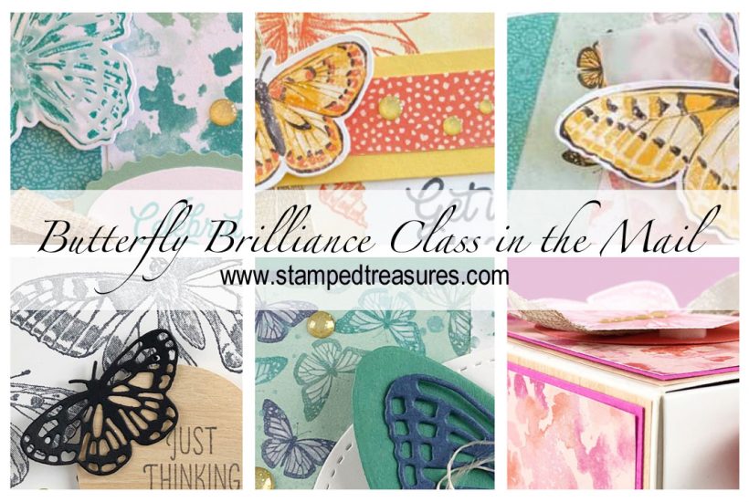 Butterfly Brilliance CITM