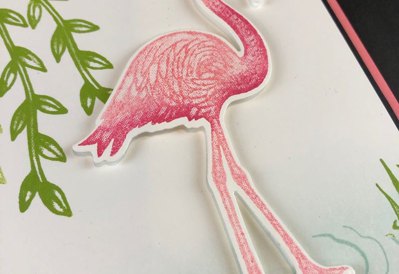 Friendly Flamingo Birthday Card