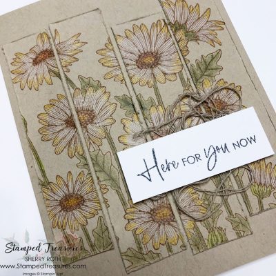 Daisy Garden with a Hint of Colour