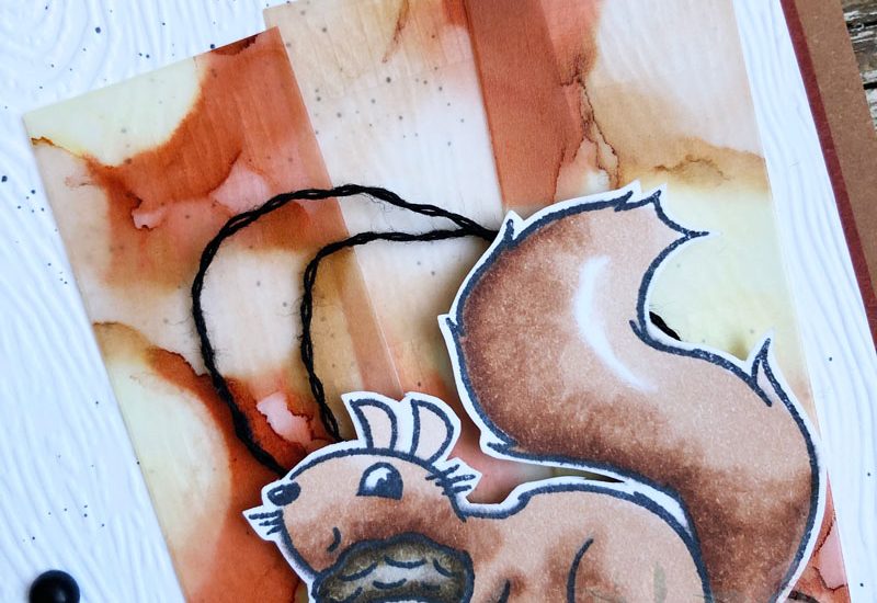 Nuts About Squirrels Card