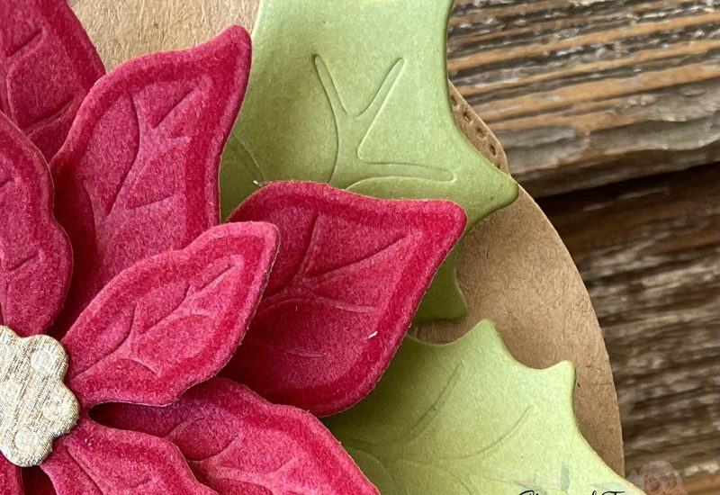 Poinsettia Pretty Pillowbox Gift Packaging