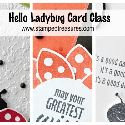 Hello Ladybug Card Class
