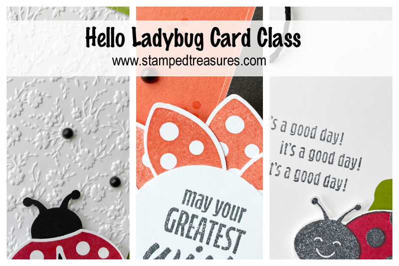 Hello Ladybug Card Class