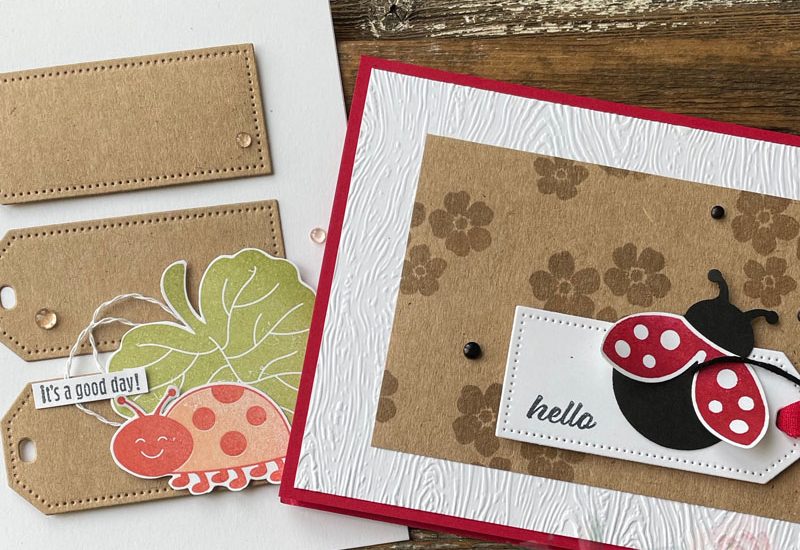 Hello Ladybug Card Inspiration