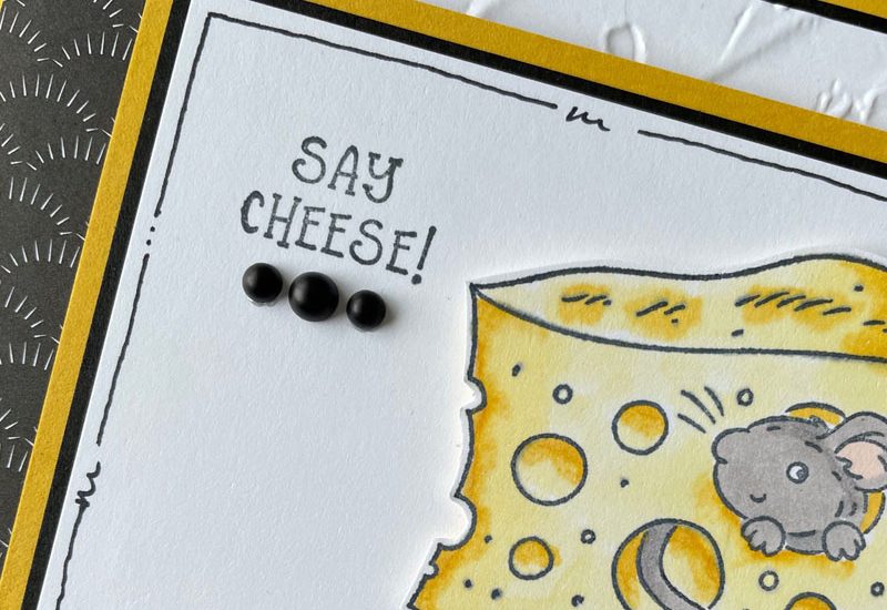 Mischievous Mice Birthday Card