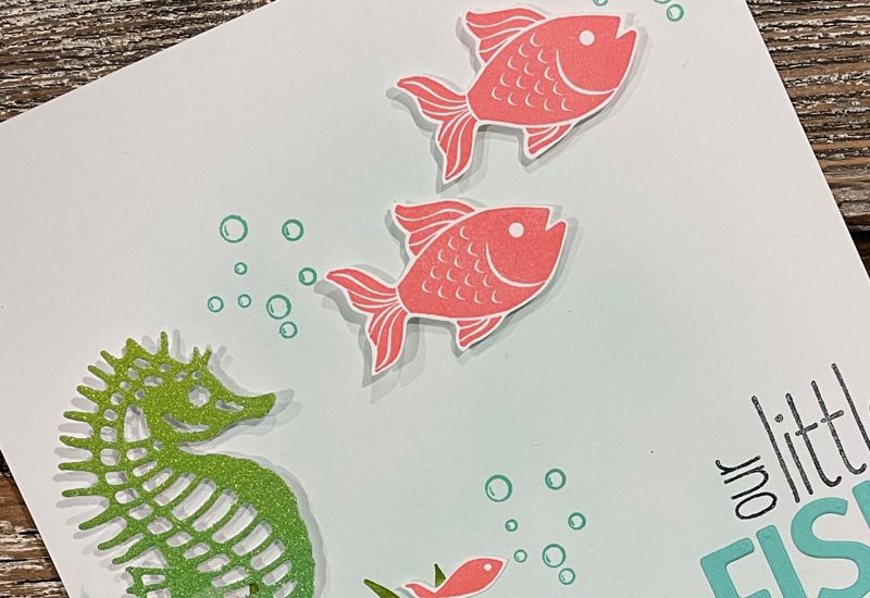 Our Little Fish Layout