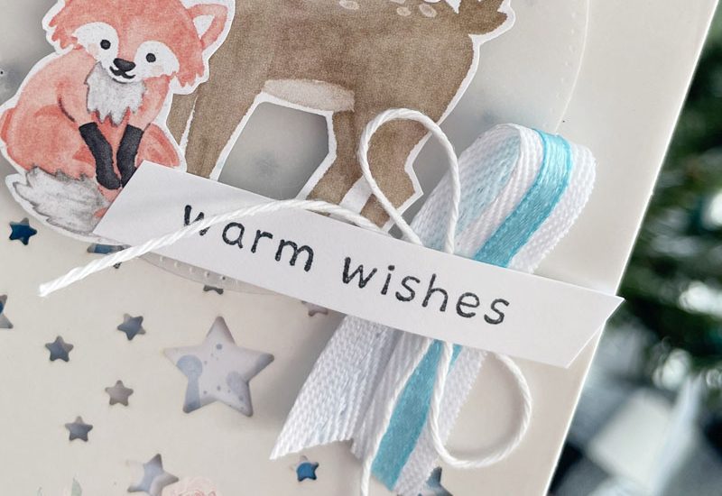 Star Treat Bag Ideas