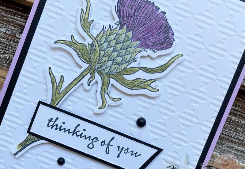 Beautiful Thistle Card