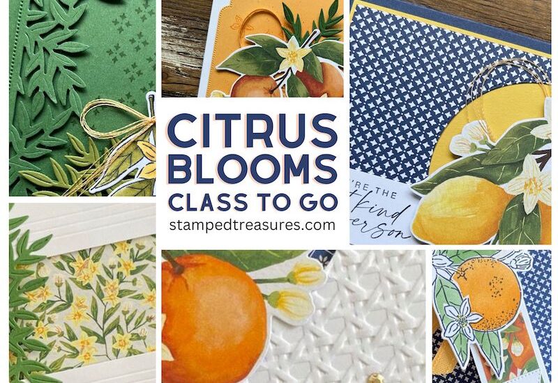 Citrus Blooms Class To Go