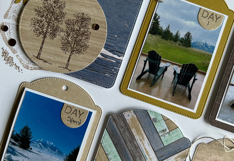 The Best There Is Project Share