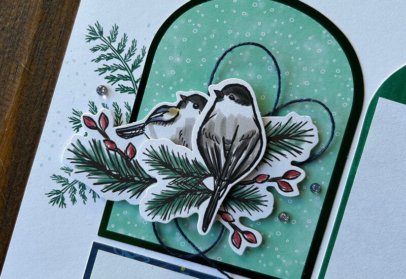 Nests of Winter Scrapbook Layout