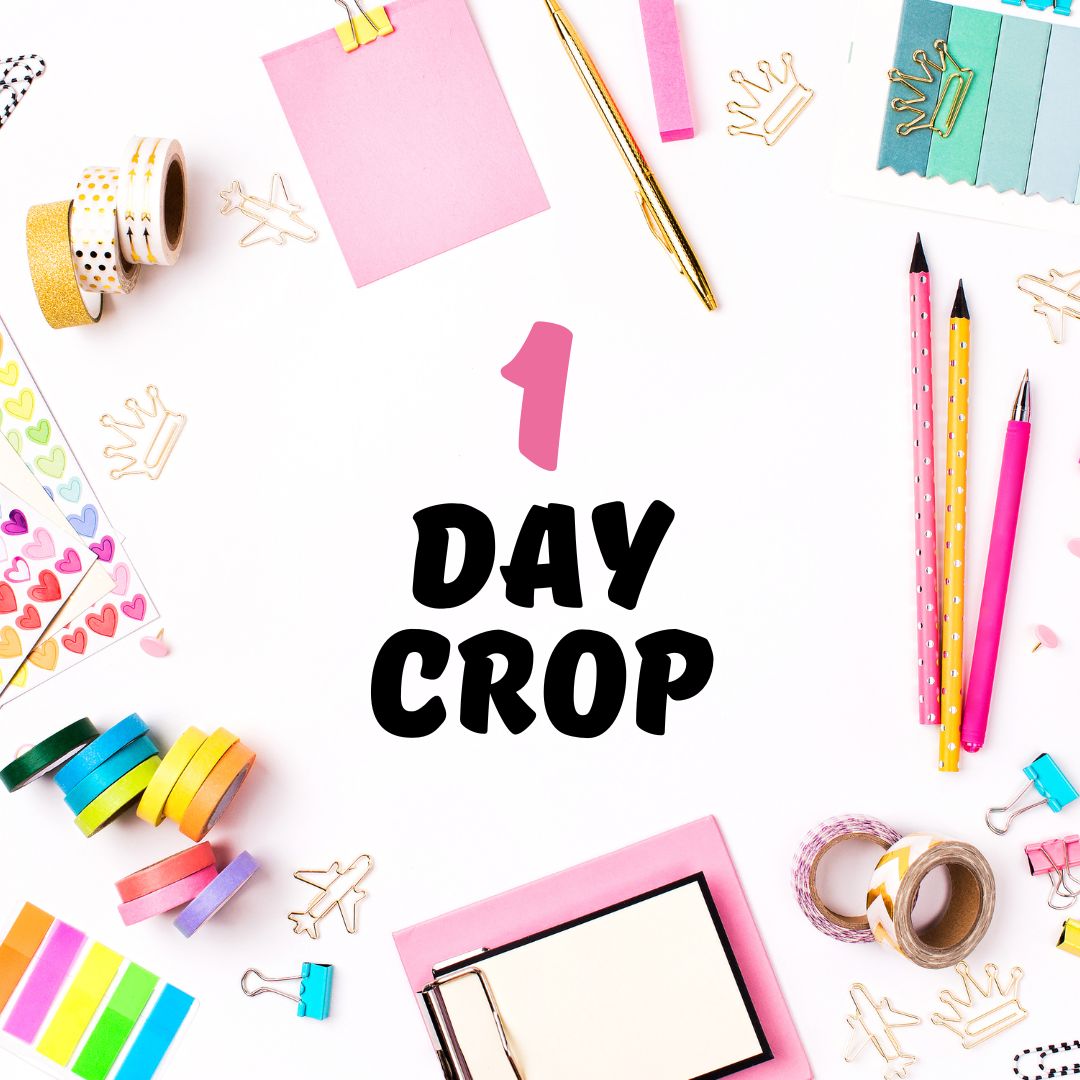 One Day Crop